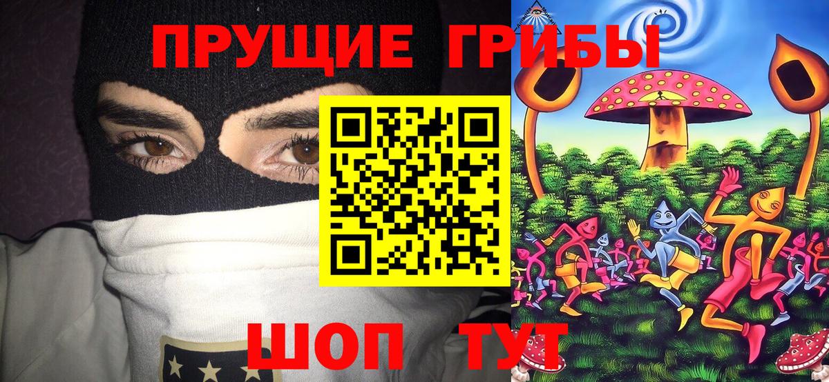 Чехов  Галлюциногенные грибы GOLDEN TEACHER  Галлюциногенные грибы ЛСД  Вход с VPN 